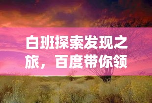 白班探索發(fā)現(xiàn)之旅，百度帶你領(lǐng)略新境界的魅力