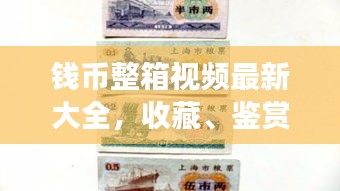 錢幣整箱視頻最新大全，收藏、鑒賞與投資的新視角全解析