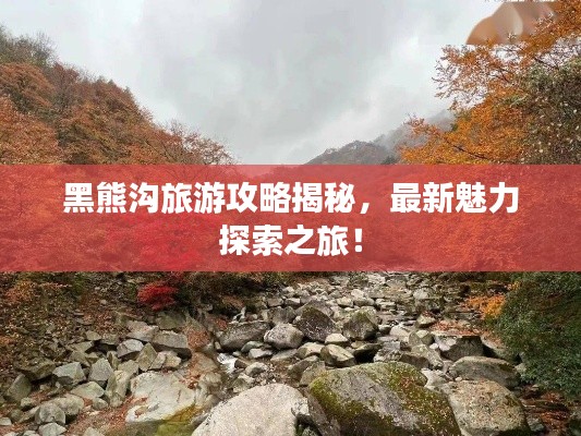 黑熊溝旅游攻略揭秘，最新魅力探索之旅！