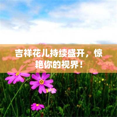 吉祥花兒持續(xù)盛開，驚艷你的視界！