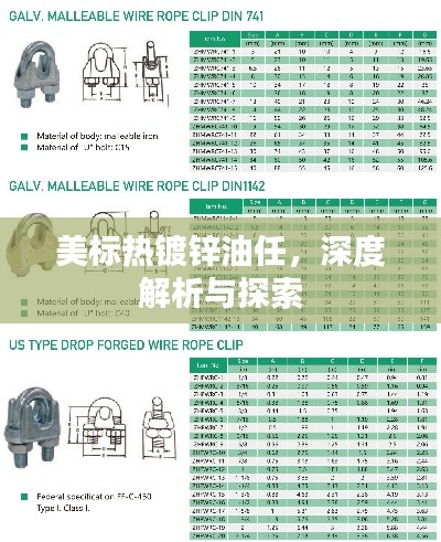 美標(biāo)熱鍍鋅油任，深度解析與探索