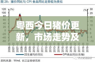 粵西今日豬價更新，市場走勢及影響因素深度解析