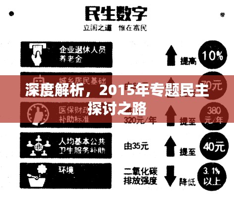 深度解析，2015年專題民主探討之路