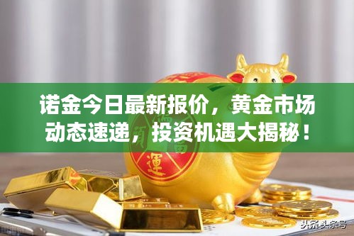 諾金今日最新報(bào)價(jià)，黃金市場(chǎng)動(dòng)態(tài)速遞，投資機(jī)遇大揭秘！