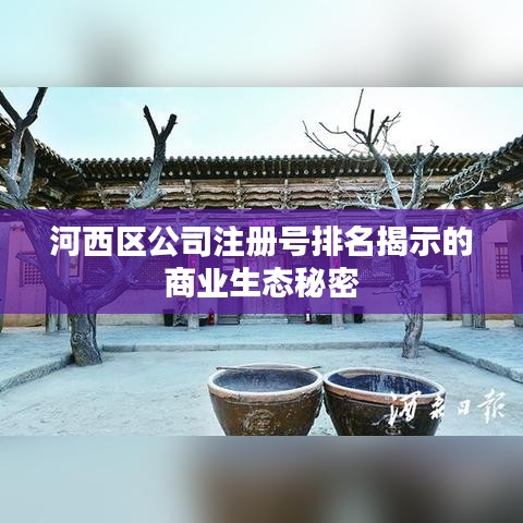 河西區(qū)公司注冊號排名揭示的商業(yè)生態(tài)秘密