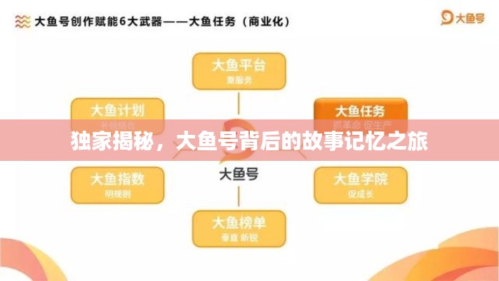 獨(dú)家揭秘，大魚號(hào)背后的故事記憶之旅