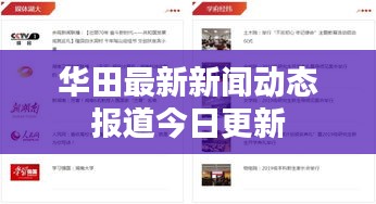 華田最新新聞動(dòng)態(tài)報(bào)道今日更新