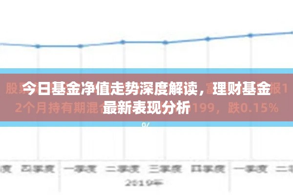 今日基金凈值走勢(shì)深度解讀，理財(cái)基金最新表現(xiàn)分析