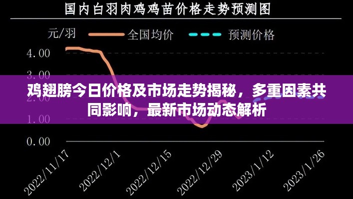 雞翅膀今日價格及市場走勢揭秘，多重因素共同影響，最新市場動態(tài)解析