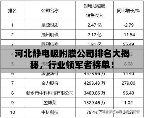 河北靜電吸附膜公司排名大揭秘，行業(yè)領(lǐng)軍者榜單！