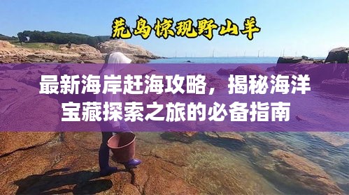 最新海岸趕海攻略，揭秘海洋寶藏探索之旅的必備指南