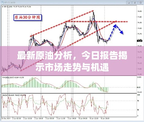 最新原油分析，今日?qǐng)?bào)告揭示市場走勢(shì)與機(jī)遇