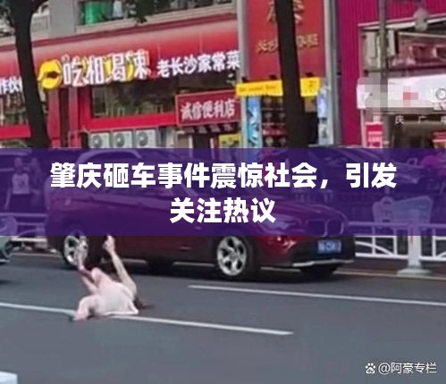 肇慶砸車事件震驚社會，引發(fā)關注熱議