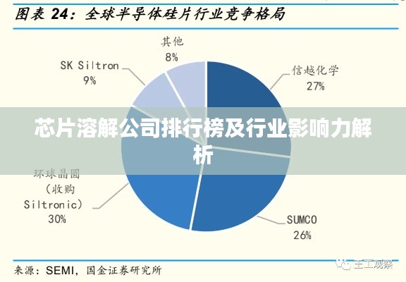 芯片溶解公司排行榜及行業(yè)影響力解析