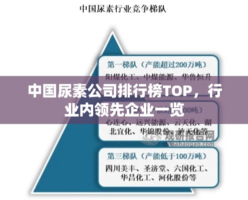 中國尿素公司排行榜TOP，行業(yè)內(nèi)領(lǐng)先企業(yè)一覽