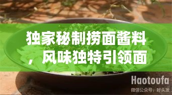 獨家秘制撈面醬料，風味獨特引領面條新風尚！