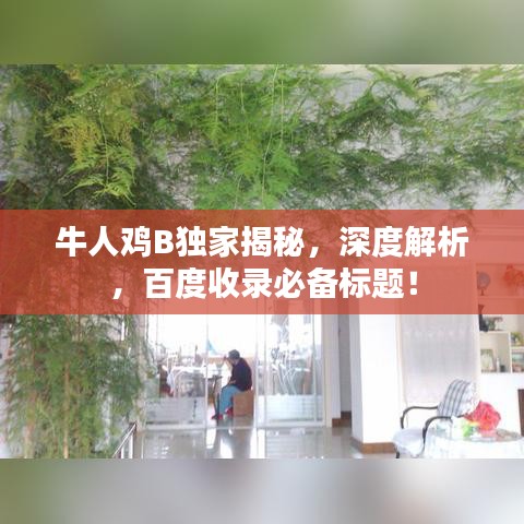 牛人雞B獨家揭秘，深度解析，百度收錄必備標題！