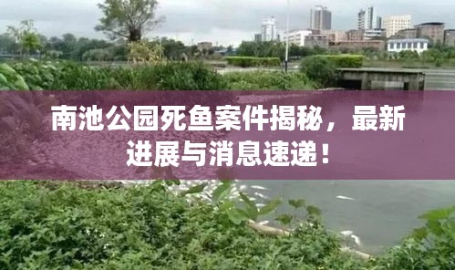 南池公園死魚案件揭秘，最新進(jìn)展與消息速遞！