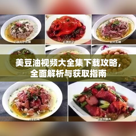 美豆油視頻大全集下載攻略，全面解析與獲取指南