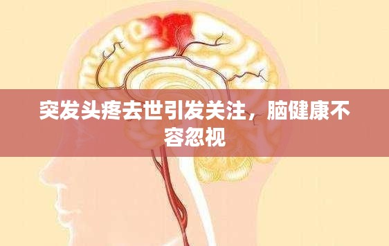 突發(fā)頭疼去世引發(fā)關(guān)注，腦健康不容忽視