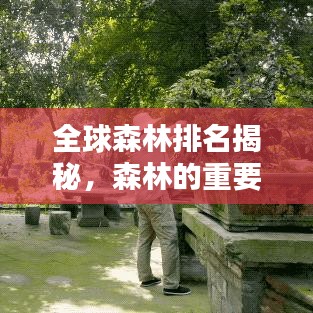 全球森林排名揭秘，森林的重要性與保護(hù)價(jià)值