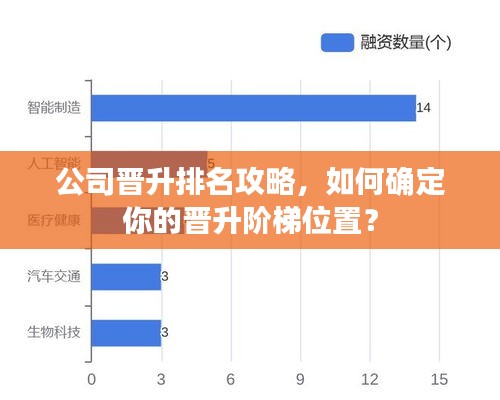 公司晉升排名攻略，如何確定你的晉升階梯位置？