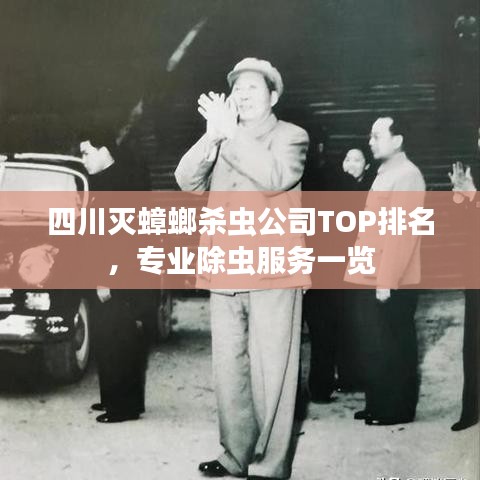 四川滅蟑螂殺蟲公司TOP排名，專業(yè)除蟲服務一覽