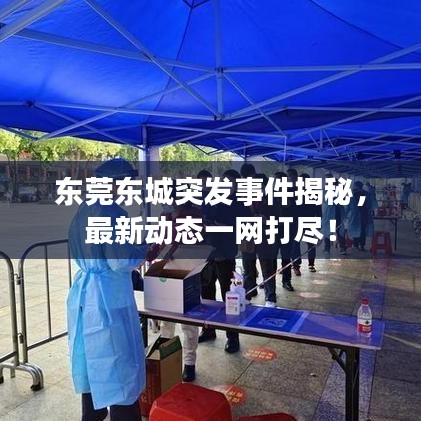 東莞東城突發(fā)事件揭秘，最新動態(tài)一網(wǎng)打盡！