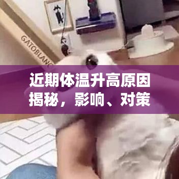 近期體溫升高原因揭秘，影響、對策全解析