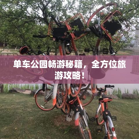 單車公園暢游秘籍，全方位旅游攻略！