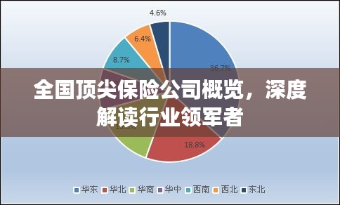 全國(guó)頂尖保險(xiǎn)公司概覽，深度解讀行業(yè)領(lǐng)軍者