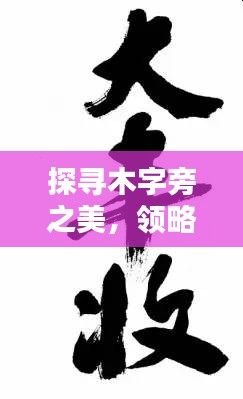 探尋木字旁之美，領(lǐng)略漢字森林的韻味