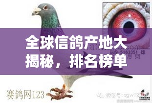 全球信鴿產(chǎn)地大揭秘，排名榜單不容錯(cuò)過！