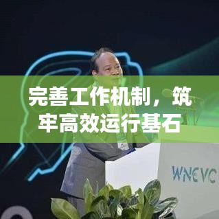 完善工作機制，筑牢高效運行基石，推動事業(yè)穩(wěn)步發(fā)展