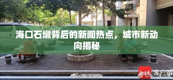 海口石墩背后的新聞熱點，城市新動向揭秘