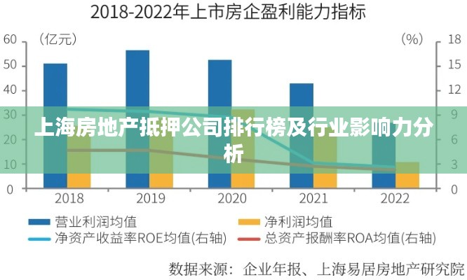 上海房地產(chǎn)抵押公司排行榜及行業(yè)影響力分析