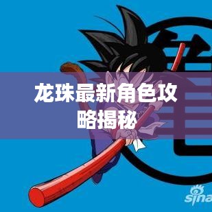 龍珠最新角色攻略揭秘