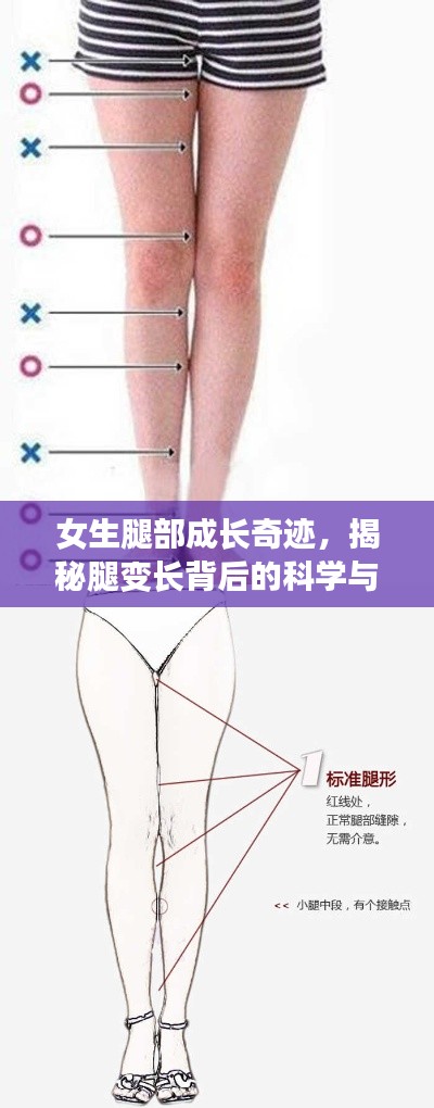 女生腿部成長奇跡，揭秘腿變長背后的科學(xué)與奧秘