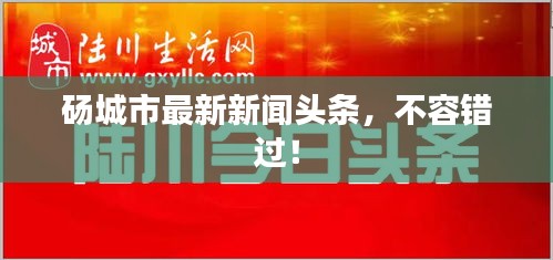 碭城市最新新聞?lì)^條，不容錯(cuò)過(guò)！