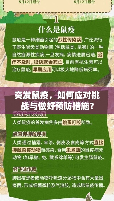 突發(fā)鼠疫，如何應對挑戰(zhàn)與做好預防措施？