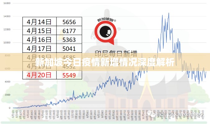 新加坡今日疫情新增情況深度解析