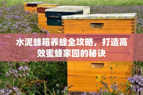 水泥蜂箱養(yǎng)蜂全攻略，打造高效蜜蜂家園的秘訣