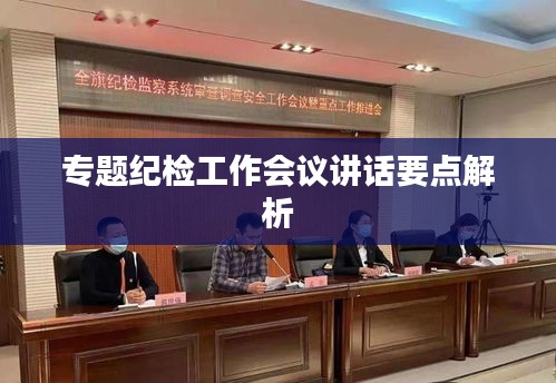 專題紀(jì)檢工作會議講話要點(diǎn)解析