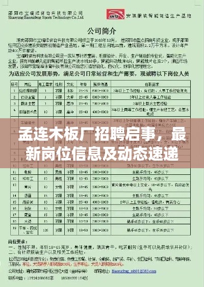 孟連木板廠招聘啟事，最新崗位信息及動態(tài)速遞