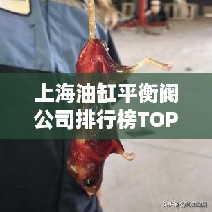 上海油缸平衡閥公司排行榜TOP排名揭曉