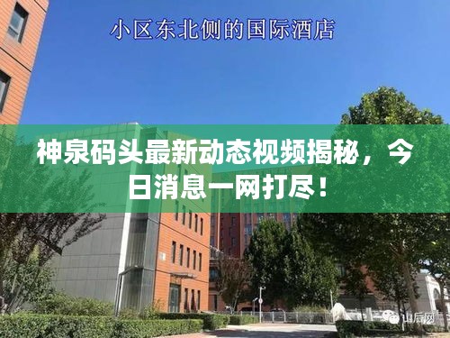 神泉碼頭最新動(dòng)態(tài)視頻揭秘，今日消息一網(wǎng)打盡！