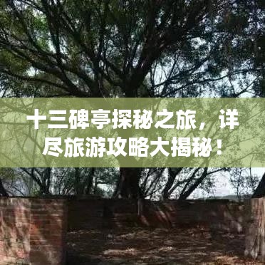 十三碑亭探秘之旅，詳盡旅游攻略大揭秘！