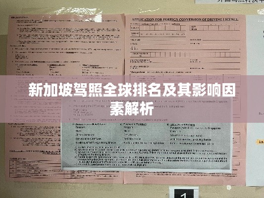 新加坡駕照全球排名及其影響因素解析