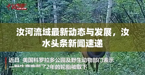 汝河流域最新動態(tài)與發(fā)展，汝水頭條新聞速遞