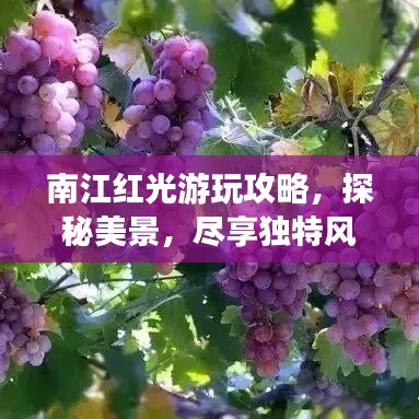 南江紅光游玩攻略，探秘美景，盡享獨(dú)特風(fēng)情！